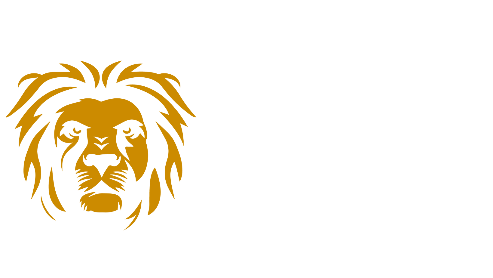 Career Formalitat Formal Attire